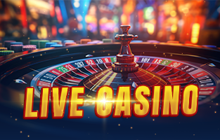 live casino copy